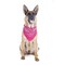 5 Pack Paisley Dog Bandanas Polyester Triangle 40X26 For Medium Large Pets